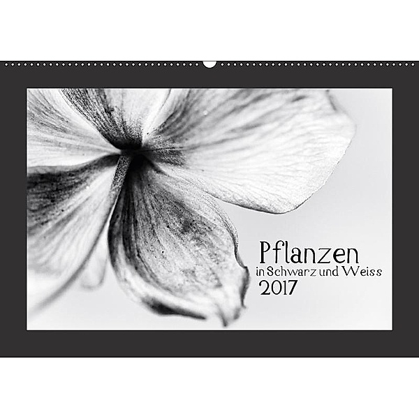 Pflanzen in Schwarz und Weiss / CH-Version (Wandkalender 2017 DIN A2 quer), Kirsten Karius