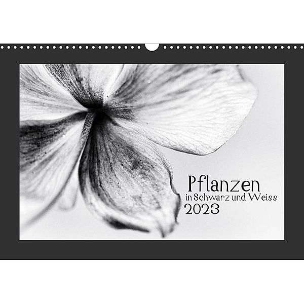 Pflanzen in Schwarz und Weiss / CH-Version (Wandkalender 2023 DIN A3 quer), Kirsten Karius