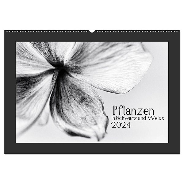 Pflanzen in Schwarz und Weiss / CH-Version (Wandkalender 2024 DIN A2 quer), CALVENDO Monatskalender, Kirsten Karius