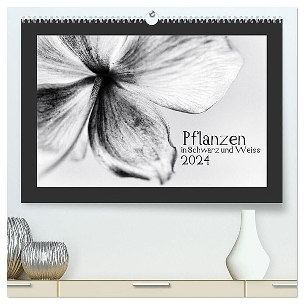 Pflanzen in Schwarz und Weiss / CH-Version (hochwertiger Premium Wandkalender 2024 DIN A2 quer), Kunstdruck in Hochglanz, Kirsten Karius