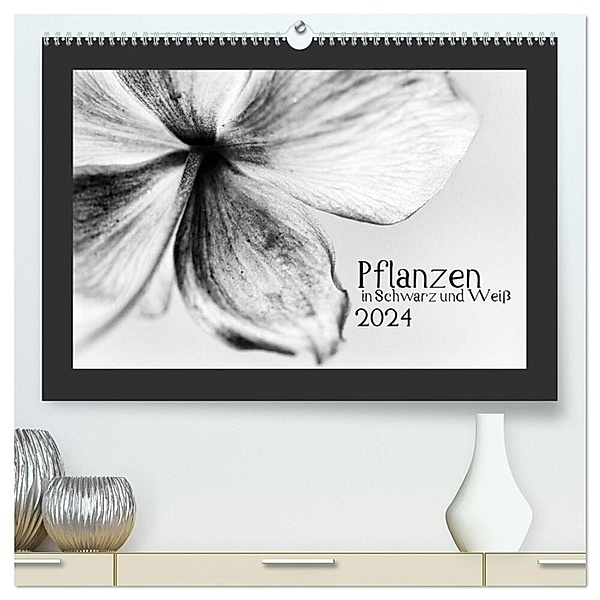 Pflanzen in Schwarz und Weiß (hochwertiger Premium Wandkalender 2024 DIN A2 quer), Kunstdruck in Hochglanz, Kirsten Karius