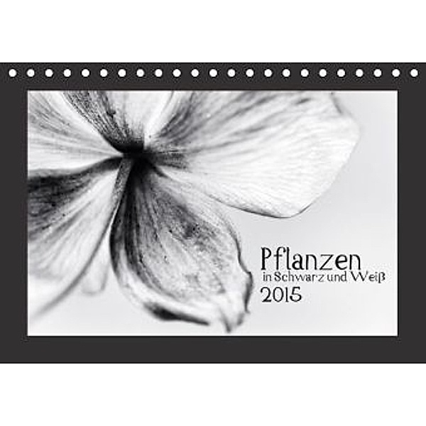 Pflanzen in Schwarz und Weiß (Tischkalender 2015 DIN A5 quer), Kirsten Karius