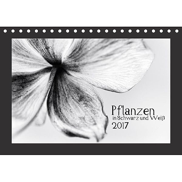 Pflanzen in Schwarz und Weiß (Tischkalender 2017 DIN A5 quer), Kirsten Karius