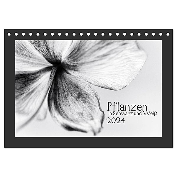 Pflanzen in Schwarz und Weiß (Tischkalender 2024 DIN A5 quer), CALVENDO Monatskalender, Kirsten Karius