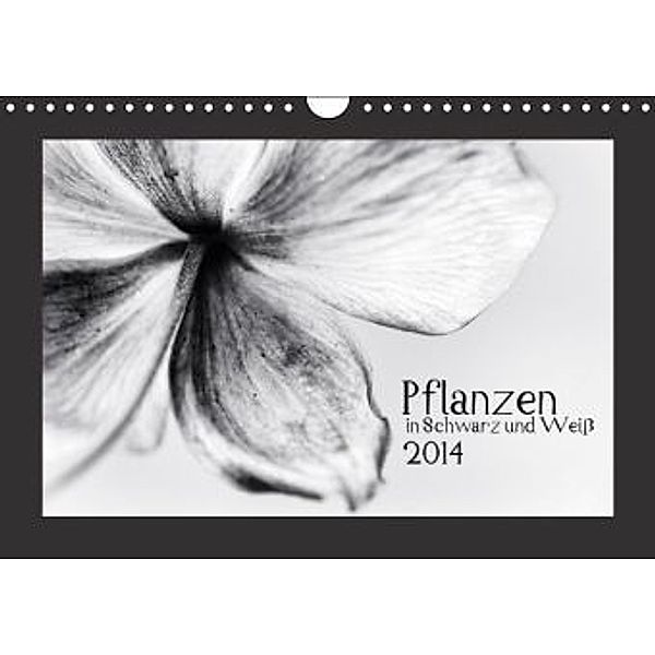 Pflanzen in schwarz und weiß (Wandkalender 2014 DIN A4 quer), Kirsten Karius