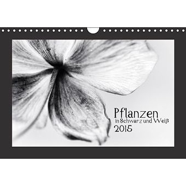 Pflanzen in Schwarz und Weiß (Wandkalender 2015 DIN A4 quer), Kirsten Karius