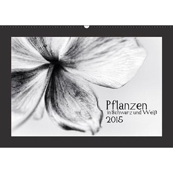 Pflanzen in Schwarz und Weiß (Wandkalender 2015 DIN A2 quer), Kirsten Karius