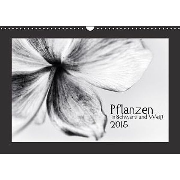 Pflanzen in Schwarz und Weiß (Wandkalender 2015 DIN A3 quer), Kirsten Karius