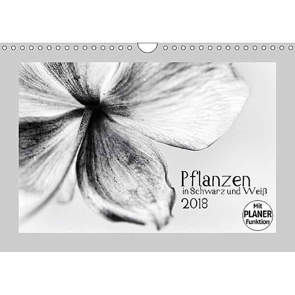 Pflanzen in Schwarz und Weiß (Wandkalender 2018 DIN A4 quer), Kirsten Karius