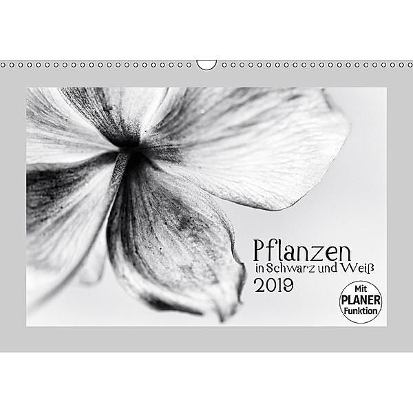 Pflanzen in Schwarz und Weiß (Wandkalender 2019 DIN A3 quer), Kirsten Karius