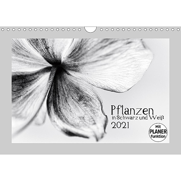 Pflanzen in Schwarz und Weiß (Wandkalender 2021 DIN A4 quer), Kirsten Karius