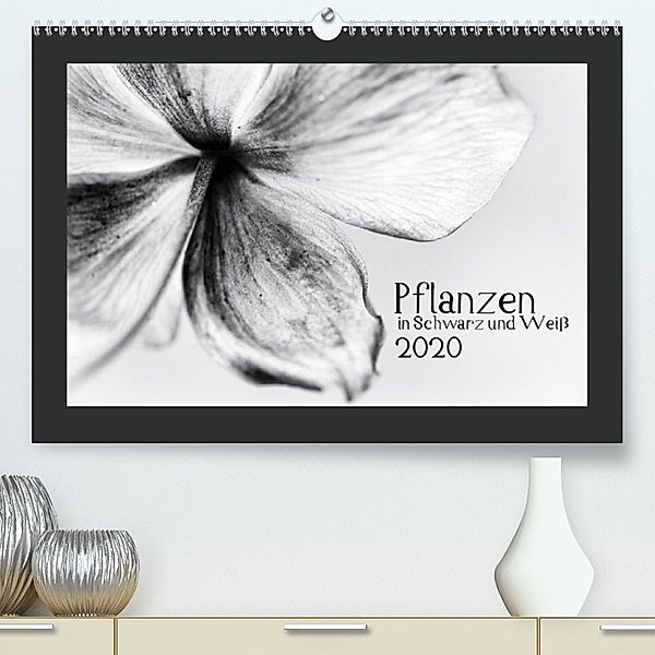 Pflanzen in Schwarz und Weiß(Premium, hochwertiger DIN A2 Wandkalender 2020, Kunstdruck in Hochglanz), Kirsten Karius