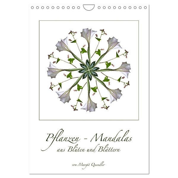 Pflanzen - Mandalas aus Blüten und Blättern (Wandkalender 2024 DIN A4 hoch), CALVENDO Monatskalender, Margit Quendler