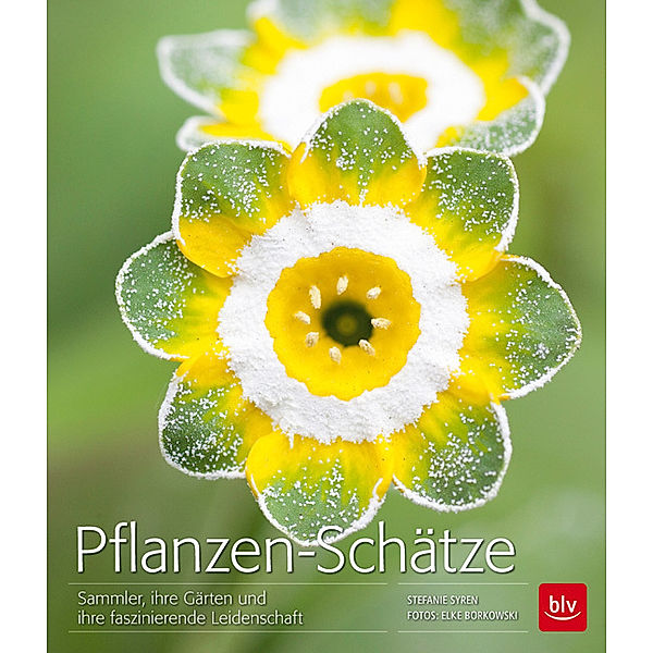 Pflanzen-Schätze, Stefanie Syren, Elke Borkowski