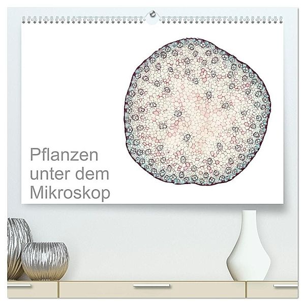 Pflanzen unter dem Mikroskop (hochwertiger Premium Wandkalender 2024 DIN A2 quer), Kunstdruck in Hochglanz, Martin Schreiter