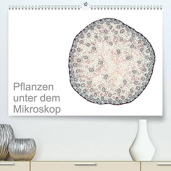 Pflanzen unter dem Mikroskop (Premium, hochwertiger DIN A2 Wandkalender 2023, Kunstdruck in Hochglanz), Martin Schreiter