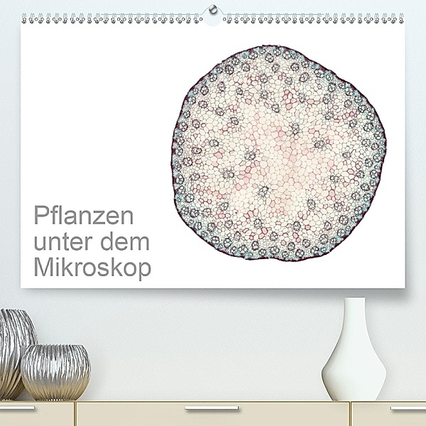 Pflanzen unter dem Mikroskop (Premium-Kalender 2020 DIN A2 quer), Martin Schreiter