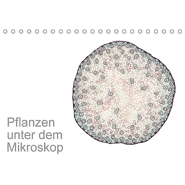 Pflanzen unter dem Mikroskop (Tischkalender 2018 DIN A5 quer), Martin Schreiter