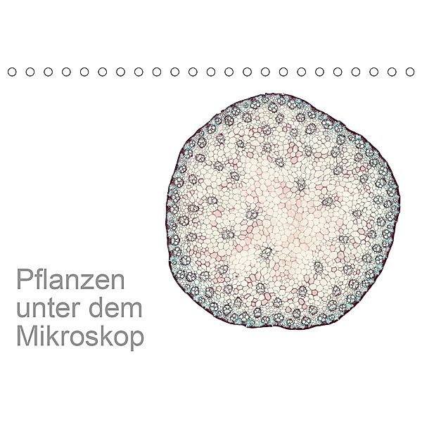 Pflanzen unter dem Mikroskop (Tischkalender 2020 DIN A5 quer), Martin Schreiter