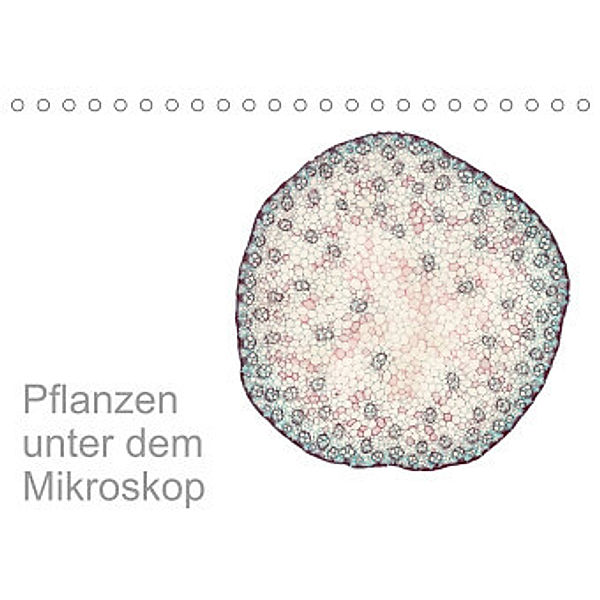 Pflanzen unter dem Mikroskop (Tischkalender 2022 DIN A5 quer), Martin Schreiter