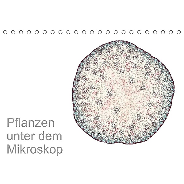 Pflanzen unter dem Mikroskop (Tischkalender 2023 DIN A5 quer), Martin Schreiter