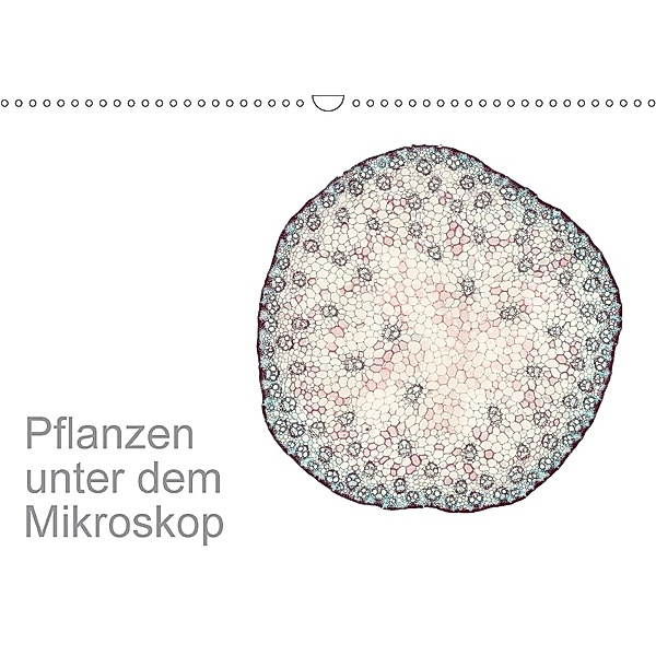 Pflanzen unter dem Mikroskop (Wandkalender 2018 DIN A3 quer), Martin Schreiter