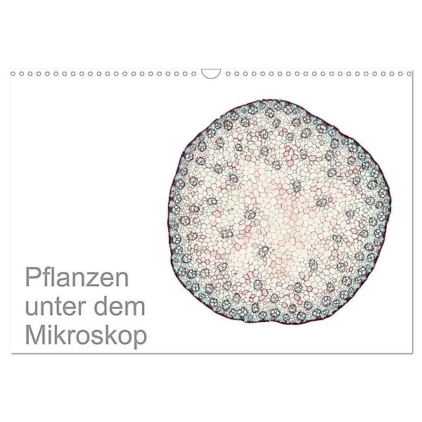 Pflanzen unter dem Mikroskop (Wandkalender 2024 DIN A3 quer), CALVENDO Monatskalender, Martin Schreiter