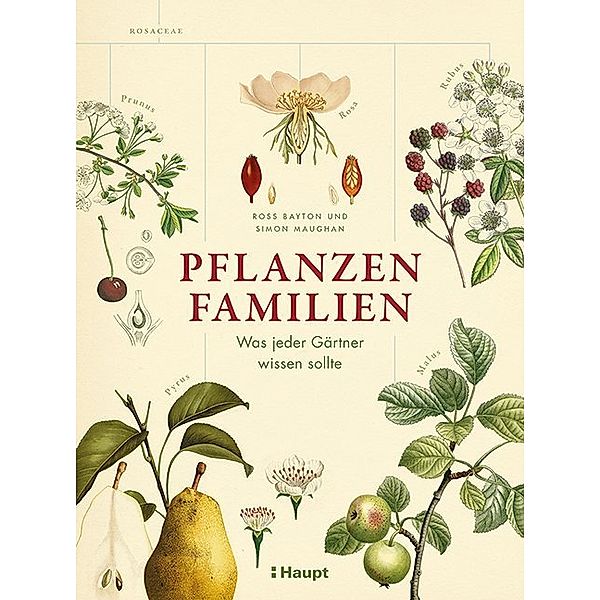 Pflanzenfamilien, Ross Bayton, Simon Maughan