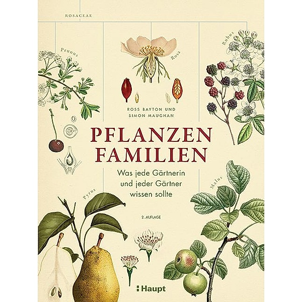 Pflanzenfamilien, Ross Bayton, Simon Maughan
