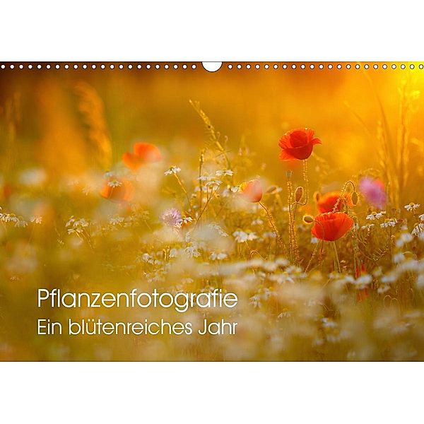 Pflanzenfotografie - Ein blütenreiches Jahr (Wandkalender 2021 DIN A3 quer), Roman Pohl