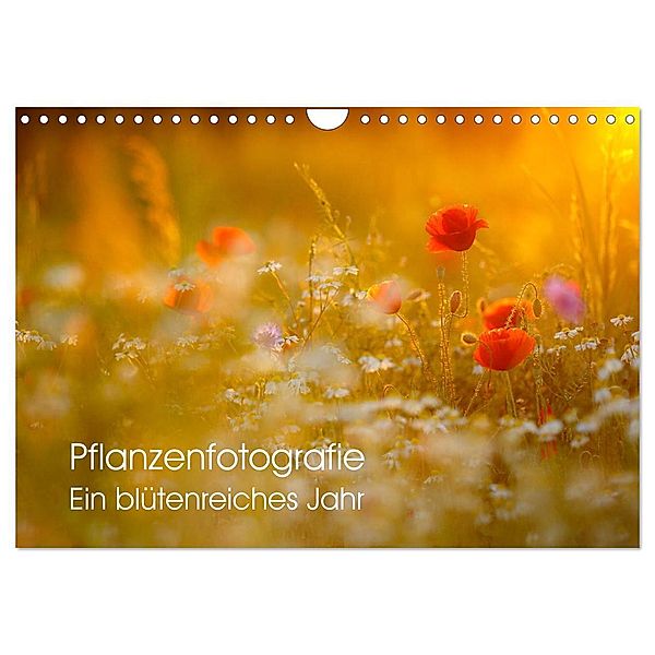 Pflanzenfotografie - Ein blütenreiches Jahr (Wandkalender 2025 DIN A4 quer), CALVENDO Monatskalender, Calvendo, Roman Pohl