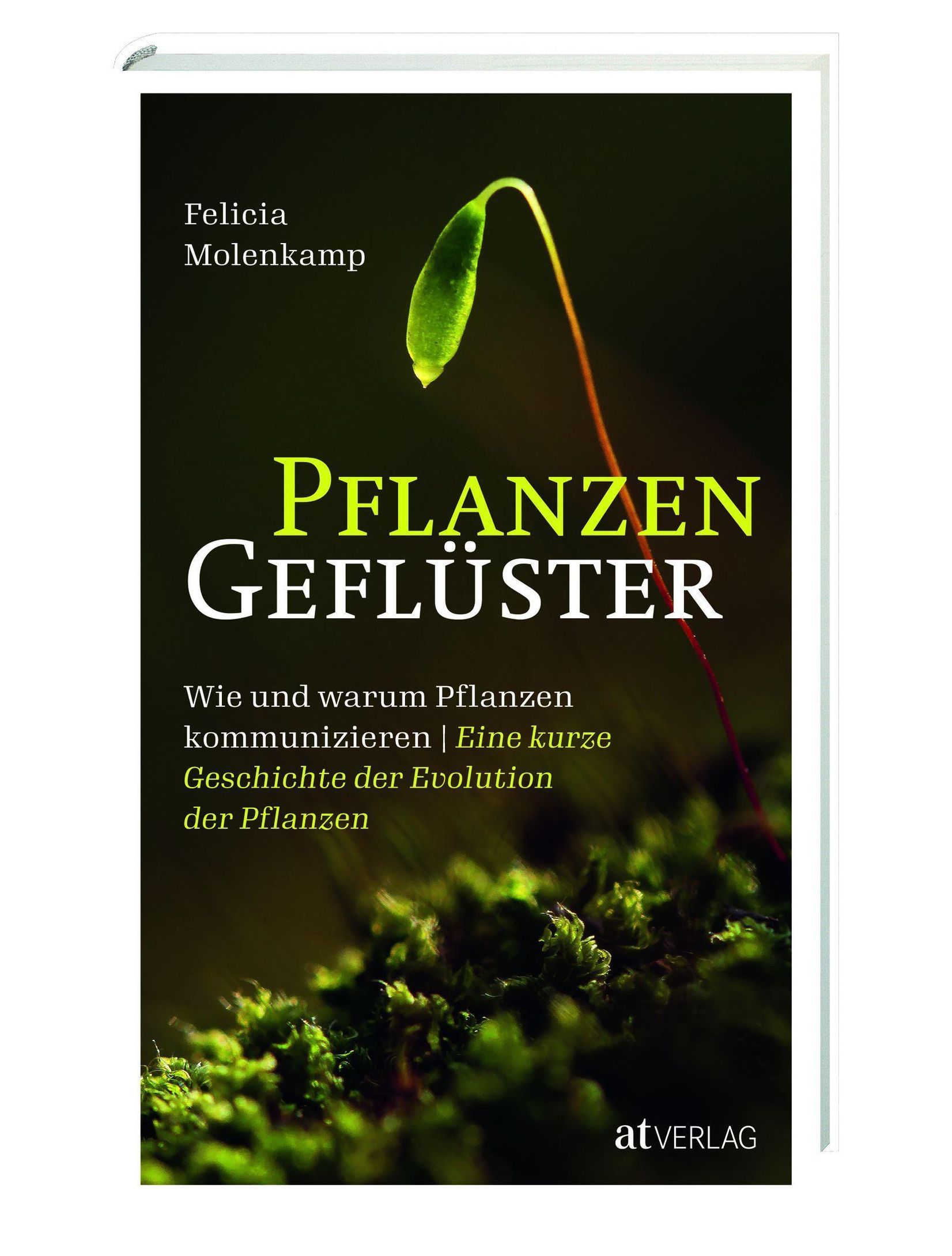 Pflanzengeflüster Buch von Felicia Molenkamp versandkostenfrei kaufen