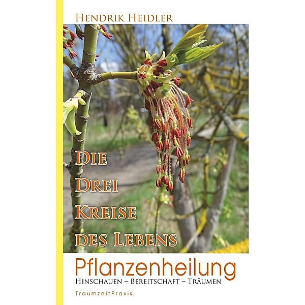 Pflanzenheilung, Hendrik Heidler