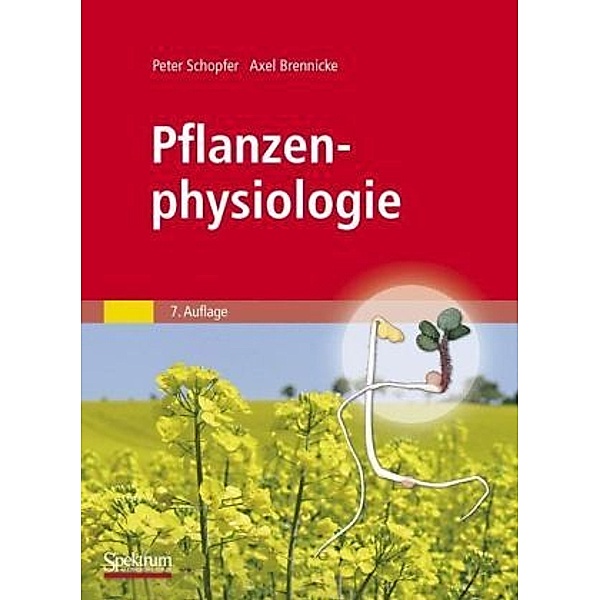 Pflanzenphysiologie, Peter Schopfer, Axel Brennicke