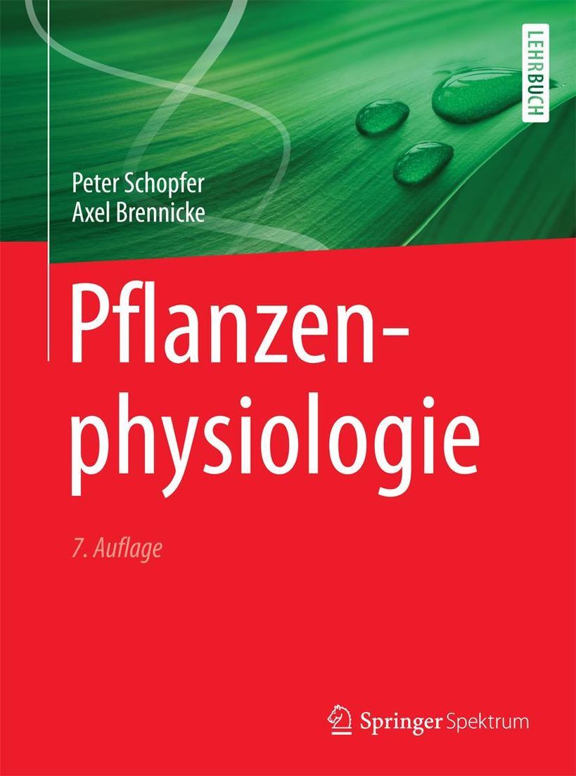 Pflanzenphysiologie Springer Spektrum eBook v. Peter Schopfer u. weitere |  Weltbild