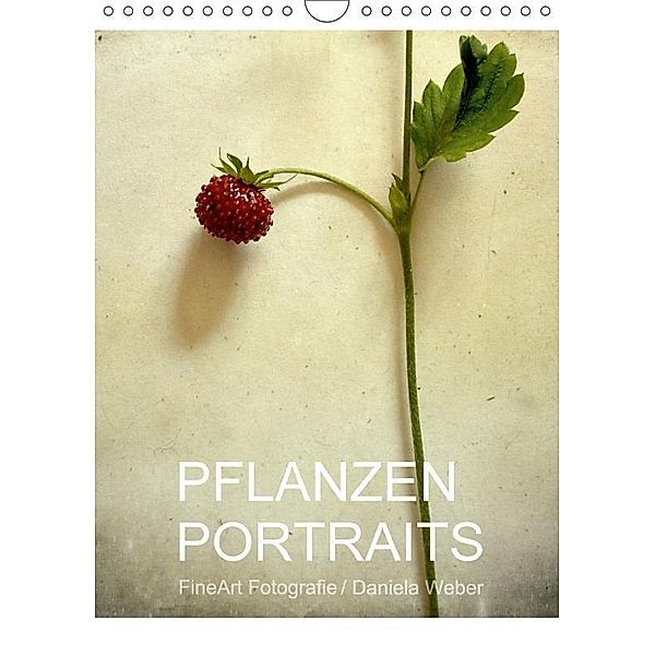 Pflanzenportraits FineArt Fotografie Daniela Weber (Wandkalender 2017 DIN A4 hoch), Daniela Weber