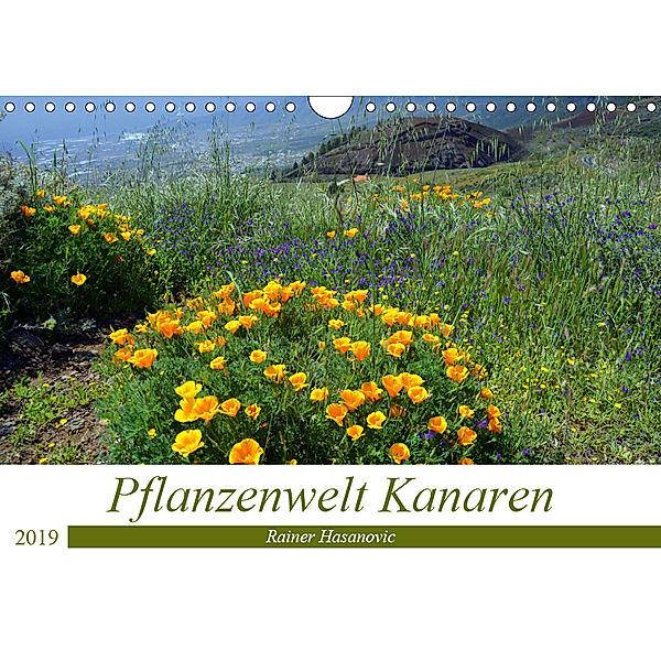 Pflanzenwelt Kanaren (Wandkalender 2019 DIN A4 quer), Rainer Hasanovic