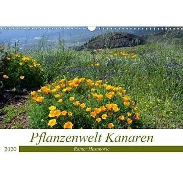 Pflanzenwelt Kanaren (Wandkalender 2020 DIN A3 quer), © www.teneriffaurlaub.es by Rainer Hasanovic