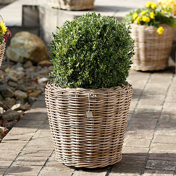 Pflanzkübel Outdoor-Rattan, mittel, ca. 36x39x39 cm