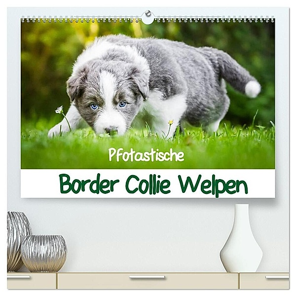 Pfotastische Border Collie Welpen (hochwertiger Premium Wandkalender 2024 DIN A2 quer), Kunstdruck in Hochglanz, Andrea Mayer