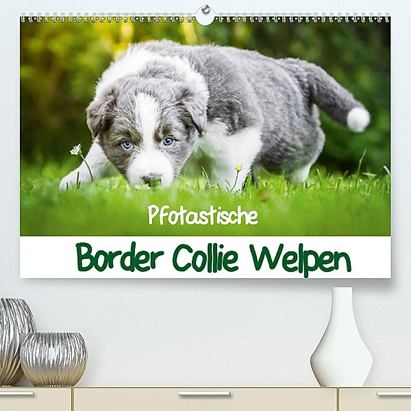 Pfotastische Border Collie Welpen (Premium, hochwertiger DIN A2 Wandkalender 2020, Kunstdruck in Hochglanz), Andrea Mayer