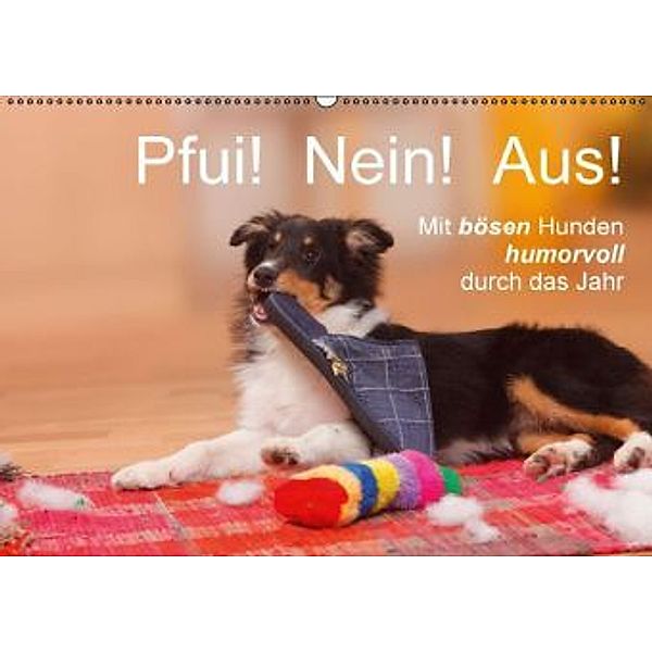 Pfui! Nein! Aus! - Mit bösen Hunden humorvoll durch das Jahr (Wandkalender 2015 DIN A2 quer), Petra Wegner