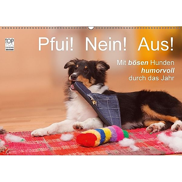 Pfui! Nein! Aus! - Mit bösen Hunden humorvoll durch das Jahr (Wandkalender 2018 DIN A2 quer), Petra Wegner