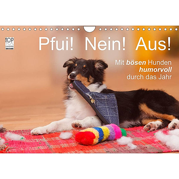 Pfui! Nein! Aus! - Mit bösen Hunden humorvoll durch das Jahr (Wandkalender 2023 DIN A4 quer), Petra Wegner