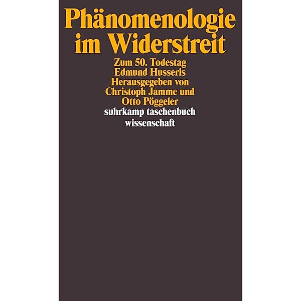 Phänomenologie im Widerstreit