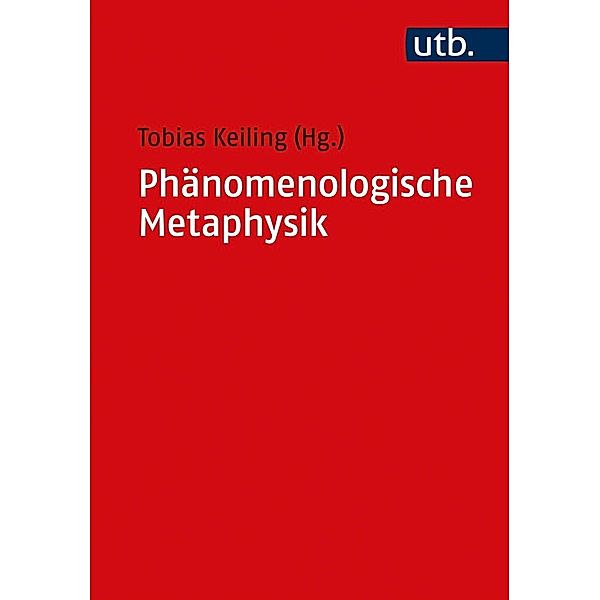 Phänomenologische Metaphysik