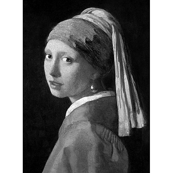 Phaidon Classics / Vermeer, Ludwig Goldscheider, Wayne Franits