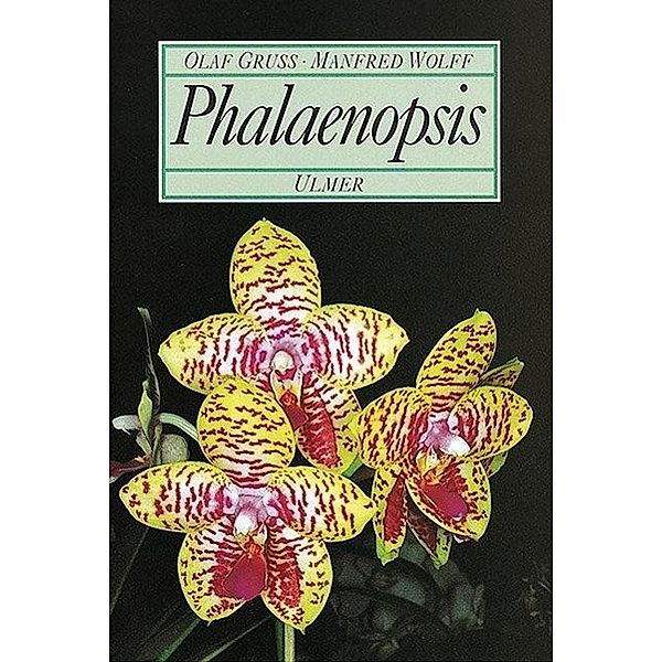 Phalaenopsis, Manfred Wolff, Olaf Gruss