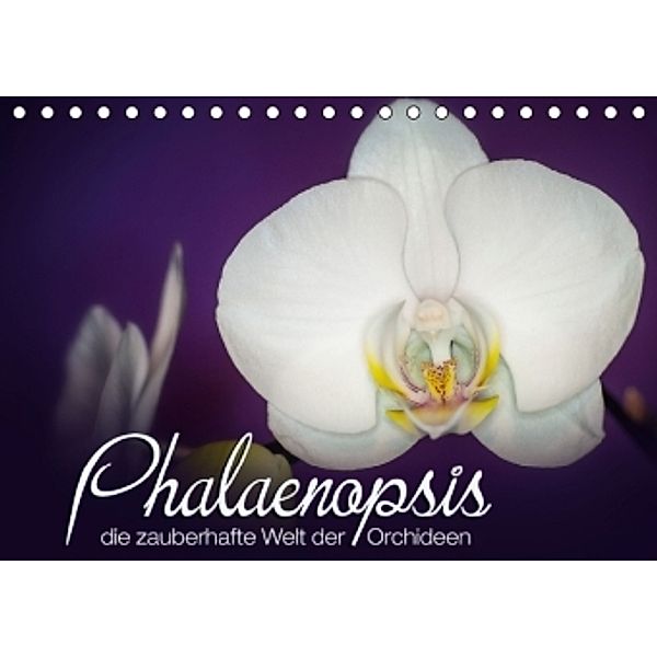 Phalaenopsis - die zauberhafte Welt der Orchideen (Tischkalender 2015 DIN A5 quer), Deborah Strehl