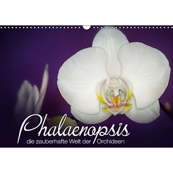 Phalaenopsis - die zauberhafte Welt der Orchideen (Wandkalender 2016 DIN A3 quer), Deborah Strehl